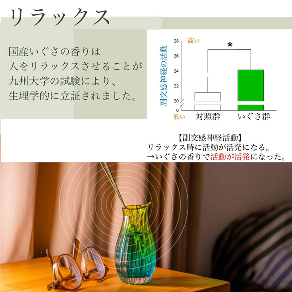 IGUNEMU 畳マット 国産イグサを使ったマット インテリア ラグマット 4枚目の画像