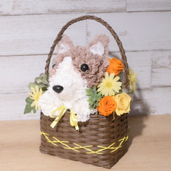フラワーペット【ペット選べる・イエローバスケット】犬 猫 花 プリザーブドフラワー ペット お供え 母の日 誕生日 9枚目の画像