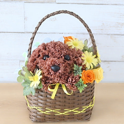 フラワーペット【ペット選べる・イエローバスケット】犬 猫 花 プリザーブドフラワー ペット お供え 母の日 誕生日 7枚目の画像