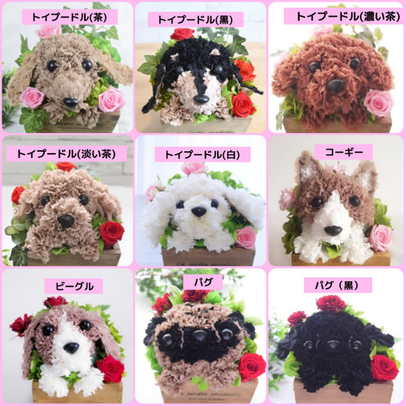 フラワーペット【ペット選べる・イエローバスケット】犬 猫 花 プリザーブドフラワー ペット お供え 母の日 誕生日 2枚目の画像