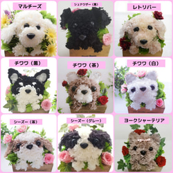 フラワーペット【ペット選べる・イエローバスケット】犬 猫 花 プリザーブドフラワー ペット お供え 母の日 誕生日 3枚目の画像