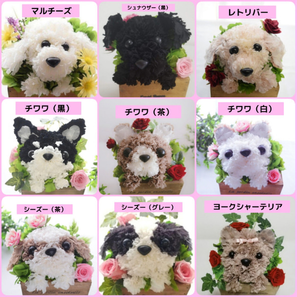 フラワーペット【ペット選べる・イエローバスケット】犬 猫 花 プリザーブドフラワー ペット お供え 母の日 誕生日 3枚目の画像