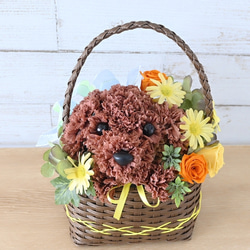 フラワーペット【ペット選べる・イエローバスケット】犬 猫 花 プリザーブドフラワー ペット お供え 母の日 誕生日 1枚目の画像