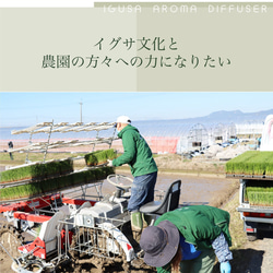 IGUNEMU イグサアロマリードディフューザー 熊本県八代産のイグサ蒸留水とイグサスティックを使用 14枚目の画像