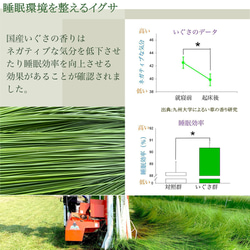 IGUNEMU イグサアロマリードディフューザー 熊本県八代産のイグサ蒸留水とイグサスティックを使用 7枚目の画像