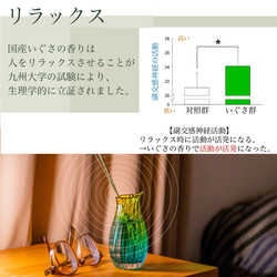 IGUNEMU イグサイメージ アロマ ルームスプレー 熊本県八代産のイグサ蒸留水を使用 和風で甘め仕上げピロースプレー 7枚目の画像