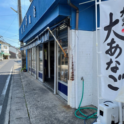 New！調理しやすいタイプでセット！島根県沖の旬獲れ100％無添加のボリューム干物♪ 13枚目の画像