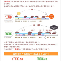 New！調理しやすいタイプでセット！島根県沖の旬獲れ100％無添加のボリューム干物♪ 6枚目の画像