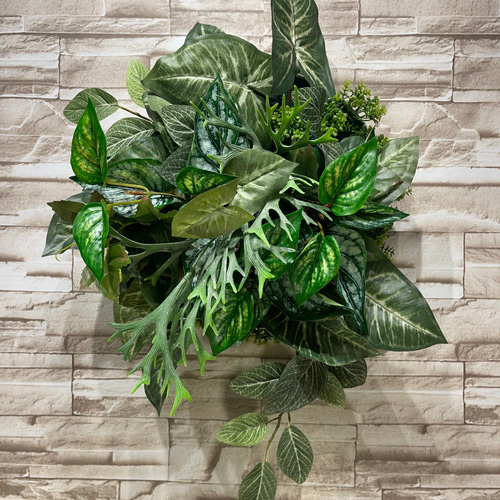 光触媒　人工観葉植物　ウォールグリーン　フェイクグリーン　フィットニアM 光触媒 人工観葉植物 インテリアグリーン フィットニア MR