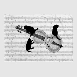バイオリンと黒猫のブランケット 1枚目の画像