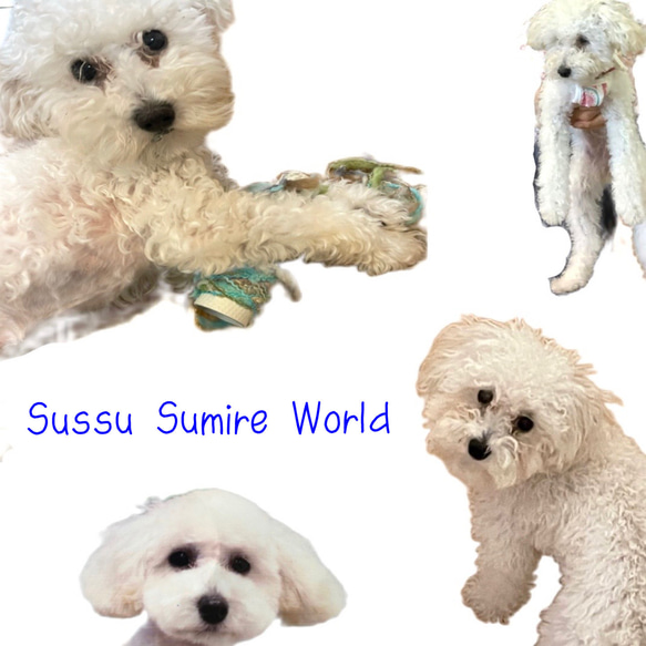 sussu Sumire world  待ちぼうけ 3枚目の画像