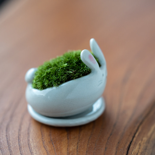 まるうさぎ（小）-moss pet-【数量限定】 その他インテリア雑貨