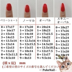 Puke Nail [No.479] Nail Tip♡聖誕美甲/可愛圖案/・外出、派對等 第5張的照片