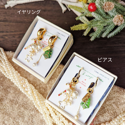 【送料無料】〔2wayイヤリング〕12月はクリスマスデザイン☆マンスリーイヤリング/ ME212 17枚目の画像