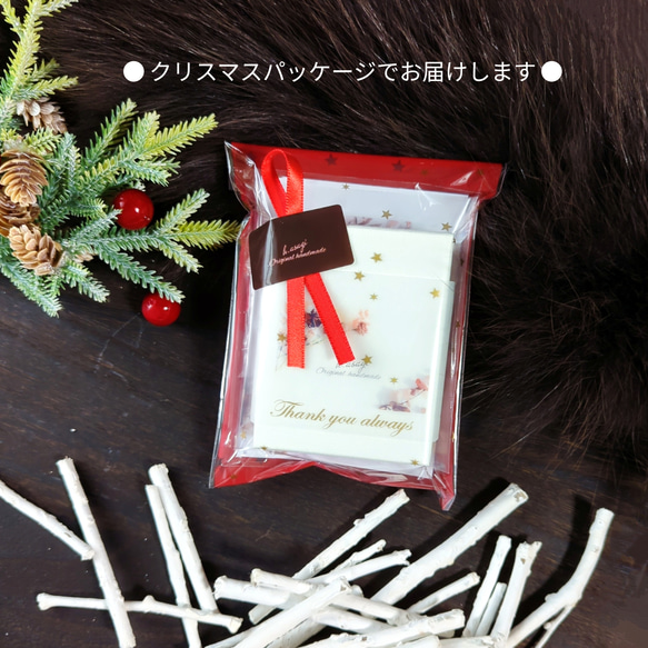 【送料無料】〔2wayイヤリング〕12月はクリスマスデザイン☆マンスリーイヤリング/ ME212 18枚目の画像