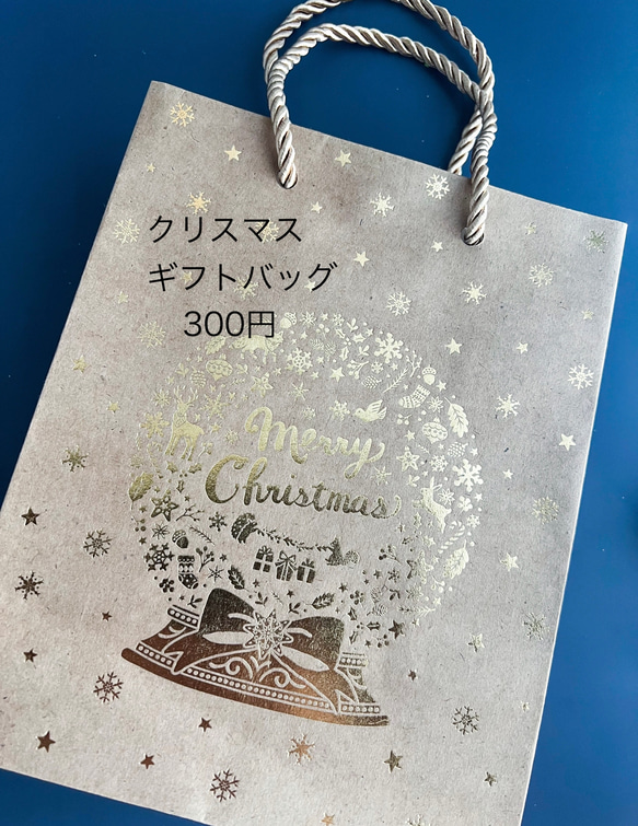 ifumé 作品専用 クリスマスギフトバッグ 1枚目の画像