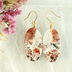 世界に1つ】*パームルート・フォッシル(椰子の木化石）*耳飾り(金具