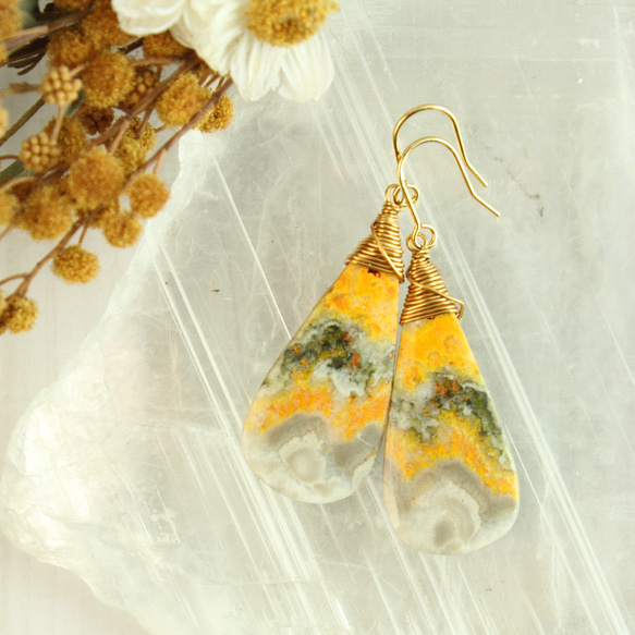 専用【A】高品質フォッシルコーラルとバンブルビージャスパーのピアス 専用【A】高品質フォッシルコーラルとバンブルビージャスパーのピアス