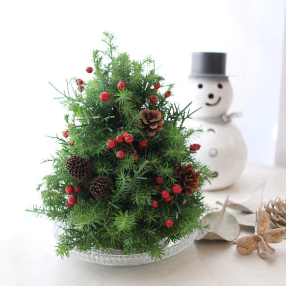 Natural~*~クリスマスツリーオーナメント☆ドライフラワーリース  