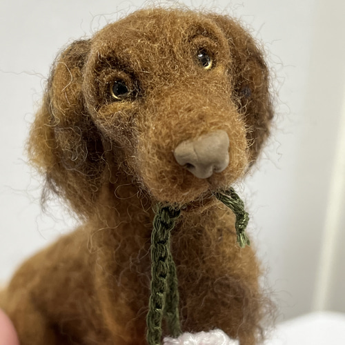 フラットコーテッドレトリバー 羊毛フェルト Wool Whisper 通販