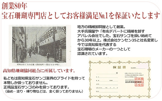 《coral》血赤珊瑚のしずく型クリップ式イヤリング