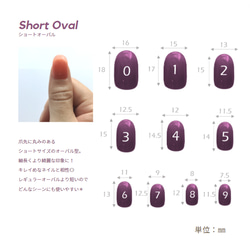 #60｜スノードーム Nail *. ○ 可愛すぎない 大人のぷっくりクリアネイル【ネイルチップ】 14枚目の画像