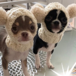 choro0428様 差額分 ◇ 犬 帽子 ◇ イタグレ チワワ ミニピン ウエア