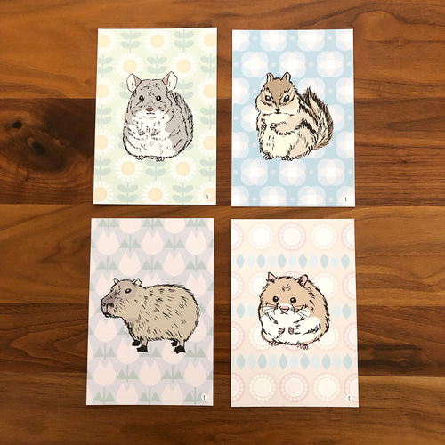 げっ歯類の臨床 チンチラ、シマリス、スナネズミ、ハムスタ-、マウス  /ＥＤＵＷＡＲＤ　Ｐｒｅｓｓ/Ｖ．Ｃ．Ｇ．リチャ-ドソン（単行本） げっ歯類の臨床 チンチラ、シマリス、スナネズミ、ハムスタ