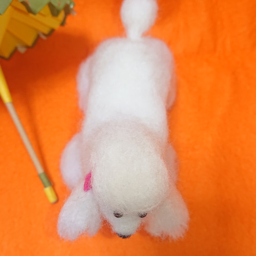 kuina様　オーダー専用　羊毛フェルト　犬　トイプードル　ラムクリップ トイプードル ラムクリップ 羊毛フェルト てれ 通販 15076975