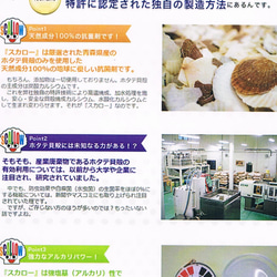 正式場合，這款柔軟的繫帶平底鞋（編號 114）會讓您的雙腳倍感舒適。 第8張的照片