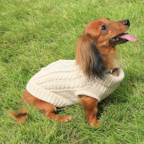 犬服 あったかニットセーター‼ アラン柄タートルネックセーター