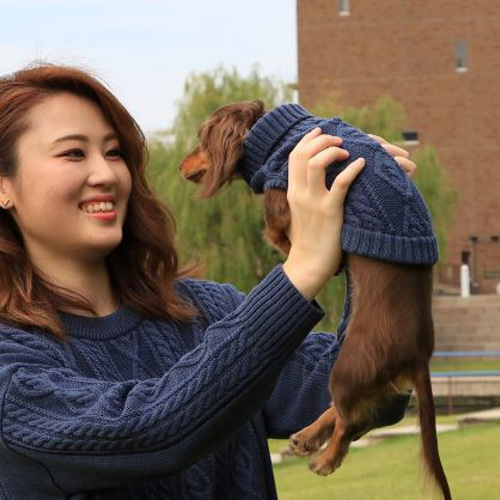 ハンドメイド風 犬用セーター - 3GGニット、段染め糸、高めの襟