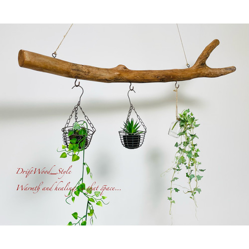 流木インテリア 端がY字の無骨な天然流木のハンガーフック 流木