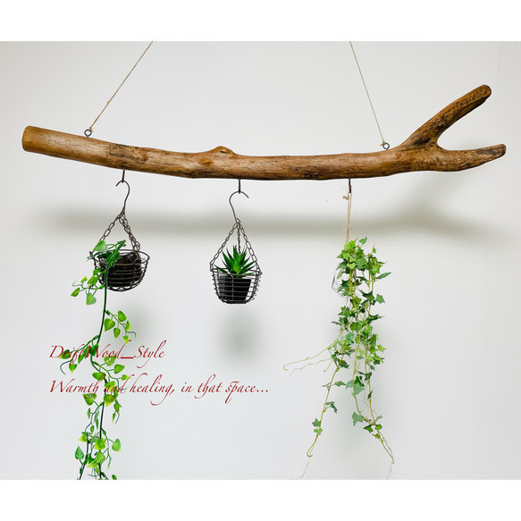 流木インテリアハンガーno.52 【公式通販】