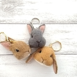 f1b16ceb7f5fb583fe9f8e98a411b8