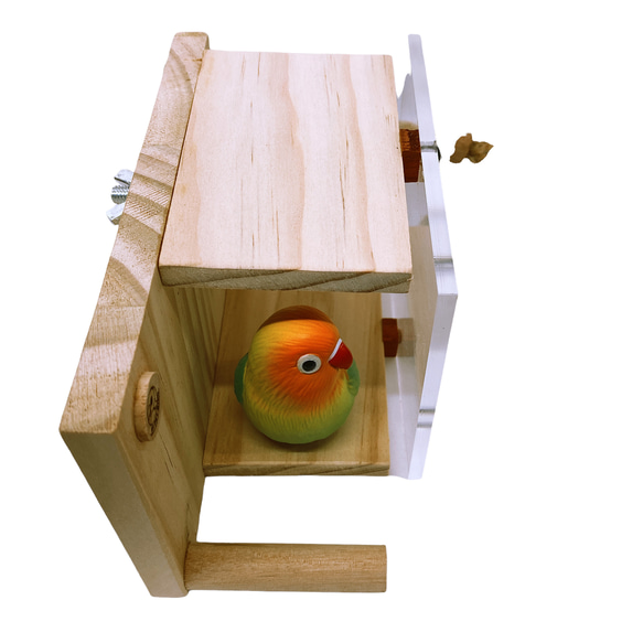 MY PET BIRD 雙開透明鸚鵡小木屋 W451 第3張的照片
