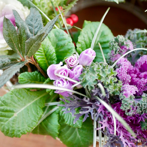 母の日にも♪ 寄せ植え 花□大人可愛いバスケット 【公式通販】