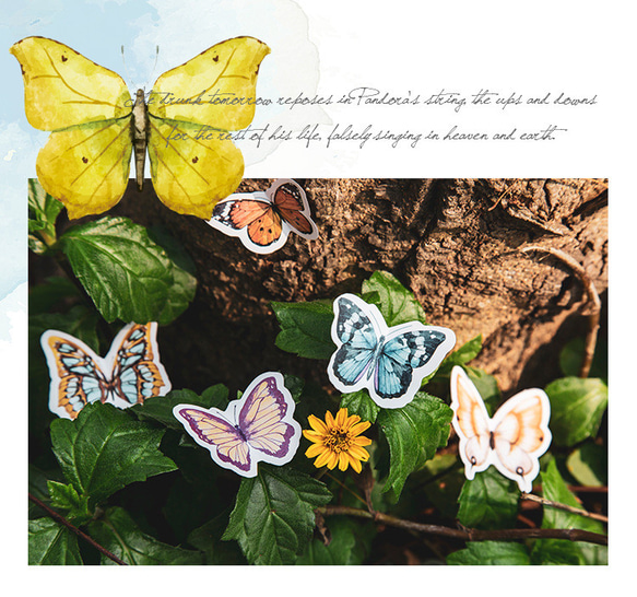 特価　8種　蝶　シール　ステッカー　カラフル　コラージュ　デコレーション　レトロ 5枚目の画像