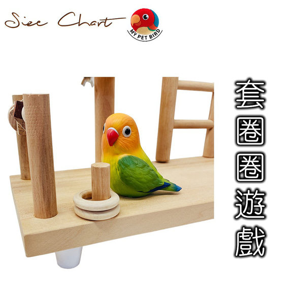 MY PET BIRD 小鸚鵡遊戲台  W900 第6張的照片