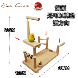 MY PET BIRD 小鸚鵡遊戲台  W900 第10張的照片