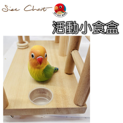 MY PET BIRD 小鸚鵡遊戲台  W900 第5張的照片