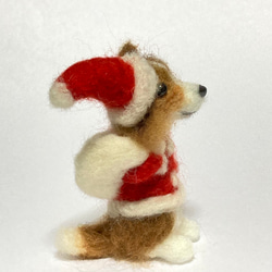 見本  シェルティ クリスマス  サンタクロース シェットランドシープドッグ 5枚目の画像