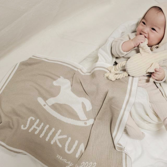 お名前入り ブランケット・木馬・横タイプ【お名前・誕生日】出産祝い　名入れ　ギフト 6,970円