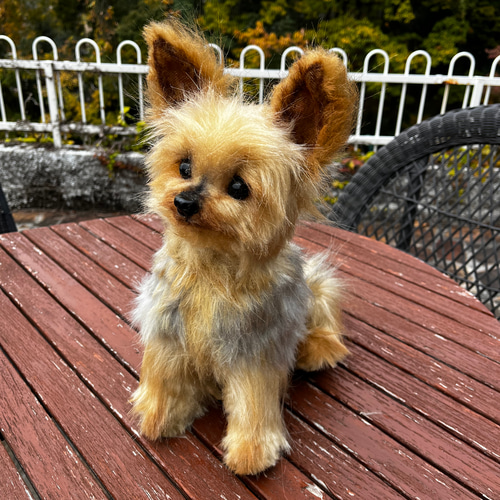 ぬいぐるみ犬　子犬　わんちゃん　リアル　テリア　ヨーキー　ヨークシャテリア 楽天市場】犬の置物 ヨークシャーテリア ヨーキー 子犬 リアルな
