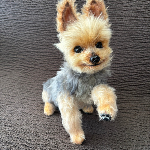 テディドッグ】オーダー ヨークシャテリア ※モヘア生地はプラス価格