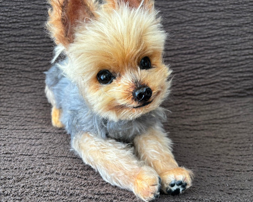 ぬいぐるみ犬　子犬　わんちゃん　リアル　テリア　ヨーキー　ヨークシャテリア 美しいヨークシャー テリア子犬リアルなアート人形 OOAK 犬