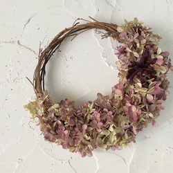 ◇ハーフリース◇紫陽花◇ナチュラルリース◇リース 水無月アジサイのハーフリース ドライフラワー cielclairシェル