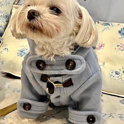 犬服コート Lサイズ ダッフルコート ペット服・アクセサリー 犬服コート Lサイズ ダッフルコート ペット服・アクセサリー