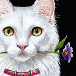 「踊る？」の白ネコさん・キラキラ目・ゴージャス・ふわふわ・原画・一点物・パステル画・上品・高貴・ターキッシュアンゴラ 2枚目の画像