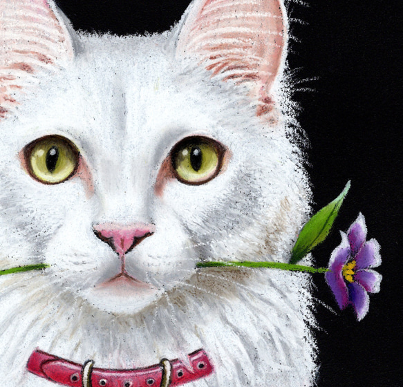 「踊る？」の白ネコさん・キラキラ目・ゴージャス・ふわふわ・原画・一点物・パステル画・上品・高貴・ターキッシュアンゴラ 2枚目の画像